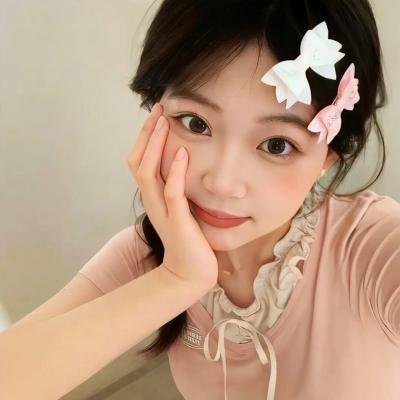 驯鹿大冒险:超越北极光